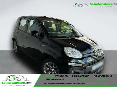 Used FIAT PANDA Petrol 2019 Ad 