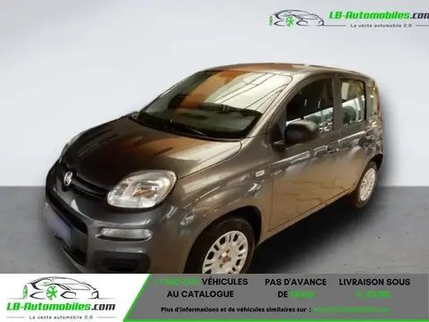 Used FIAT PANDA Petrol 2018 Ad 