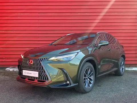 Used LEXUS NX Hybrid 2024 Ad 