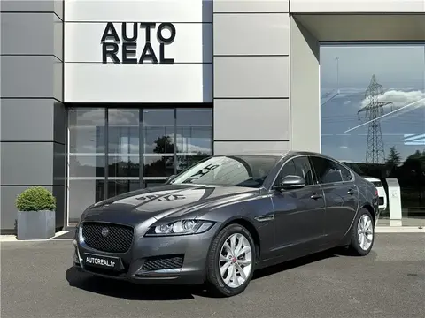 Used JAGUAR XF Diesel 2017 Ad 