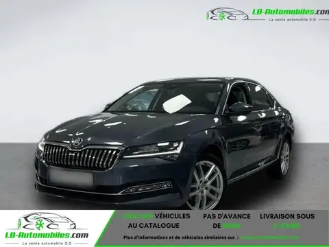 Annonce SKODA SUPERB Diesel 2021 d'occasion 