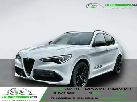 Used ALFA ROMEO STELVIO Petrol 2022 Ad 