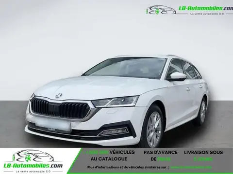 Annonce SKODA OCTAVIA Diesel 2024 d'occasion 