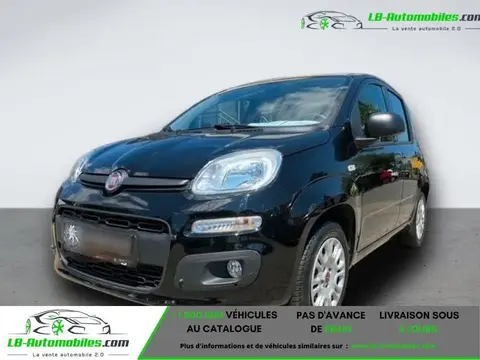 Used FIAT PANDA Petrol 2017 Ad 