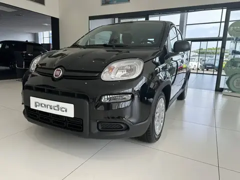 Annonce FIAT PANDA Essence 2024 d'occasion 