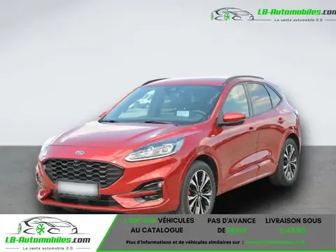 Annonce FORD KUGA Diesel 2020 d'occasion 