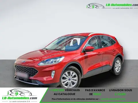 Annonce FORD KUGA Diesel 2020 d'occasion 