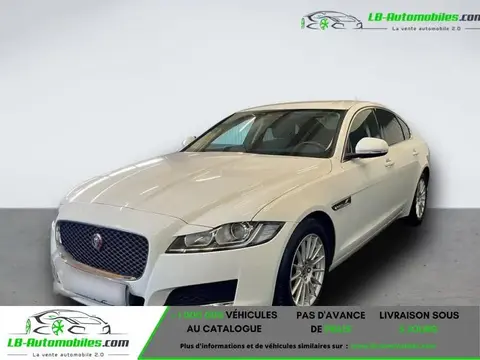 Used JAGUAR XF Diesel 2020 Ad 