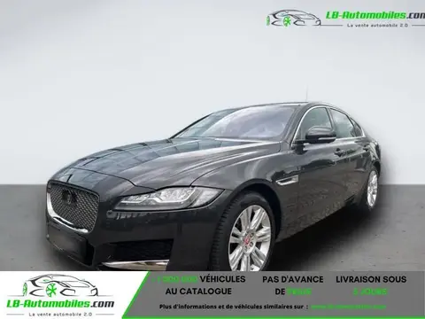 Used JAGUAR XF Petrol 2020 Ad 