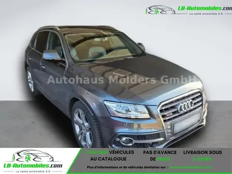 Annonce AUDI SQ5 Diesel 2017 d'occasion 