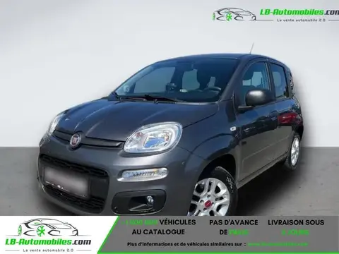 Used FIAT PANDA Petrol 2018 Ad 