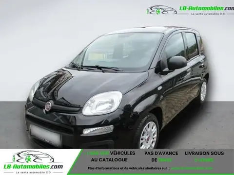 Annonce FIAT PANDA Essence 2020 d'occasion 