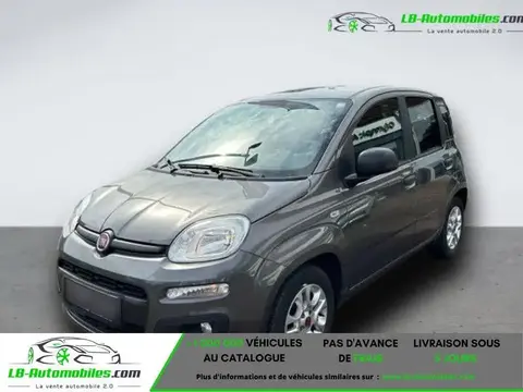 Used FIAT PANDA Petrol 2018 Ad 