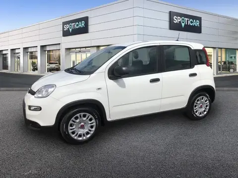 Annonce FIAT PANDA Essence 2024 d'occasion 