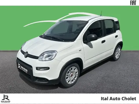 Used FIAT PANDA Petrol 2024 Ad 