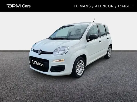 Used FIAT PANDA Petrol 2022 Ad 