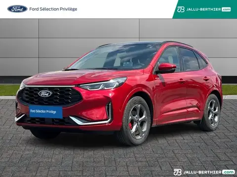 Annonce FORD KUGA Essence 2024 d'occasion 