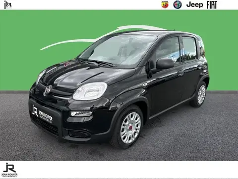 Annonce FIAT PANDA Essence 2024 d'occasion 