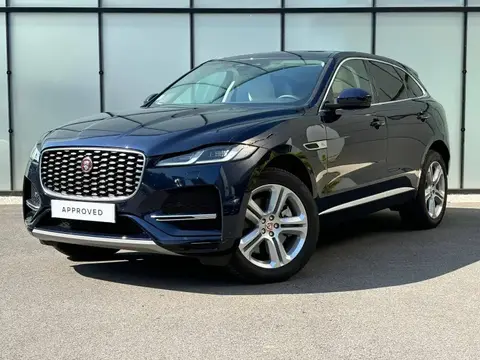 Annonce JAGUAR F-PACE Essence 2023 d'occasion 