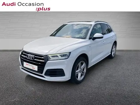 Used AUDI Q5 Diesel 2019 Ad 