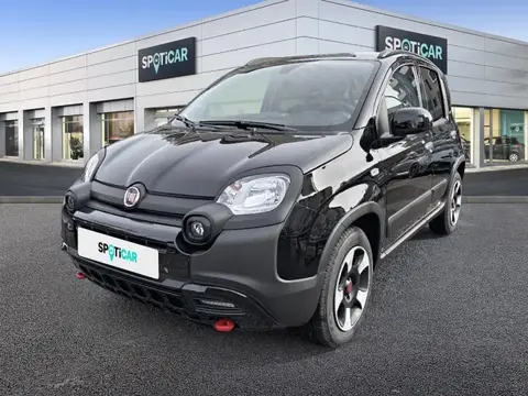 Annonce FIAT PANDA Essence 2024 d'occasion 