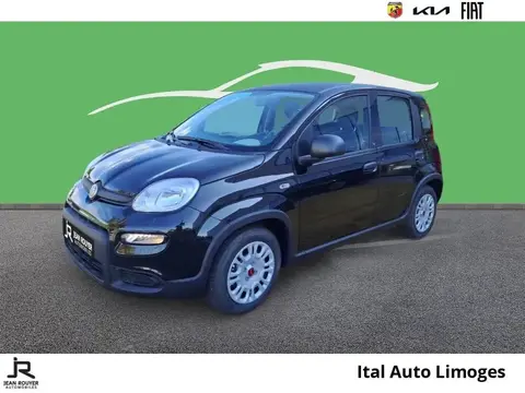 Annonce FIAT PANDA Essence 2024 d'occasion 