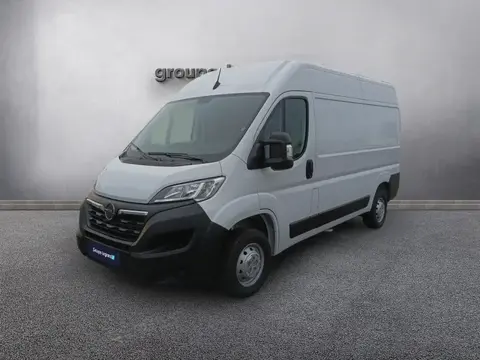 Used OPEL MOVANO Diesel 2023 Ad 