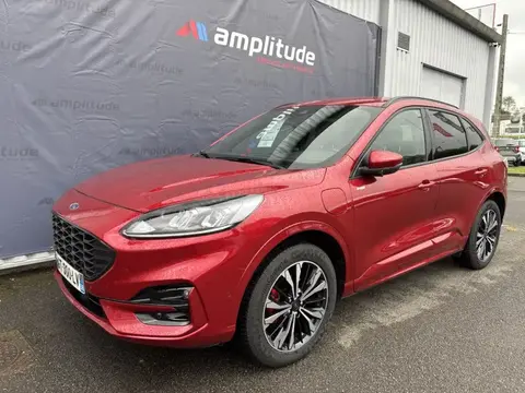 Used FORD KUGA Hybrid 2024 Ad 