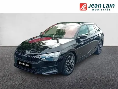 Used SKODA OCTAVIA Petrol 2024 Ad 