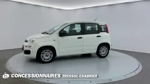 Annonce FIAT PANDA Essence 2021 d'occasion 