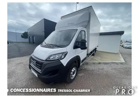 Used FIAT DUCATO Diesel 2023 Ad 