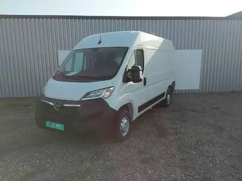 Used OPEL MOVANO Diesel 2022 Ad 