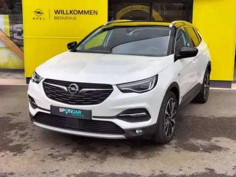 Used OPEL GRANDLAND Petrol 2021 Ad 