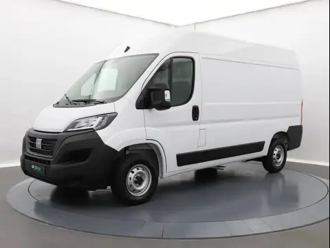 Annonce FIAT DUCATO Diesel 2024 d'occasion 