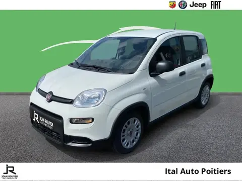 Annonce FIAT PANDA Essence 2024 d'occasion 