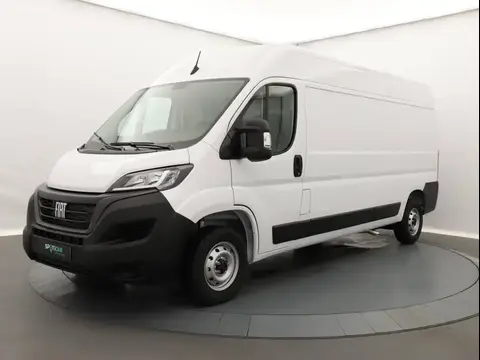 Annonce FIAT DUCATO Diesel 2024 d'occasion 