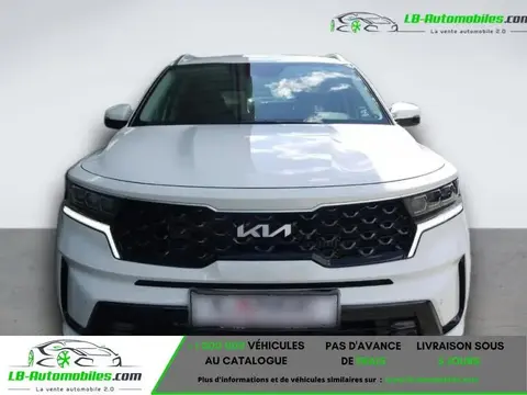 Annonce KIA SORENTO Hybride 2023 d'occasion 