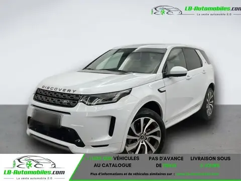 Used LAND ROVER DISCOVERY Diesel 2020 Ad 