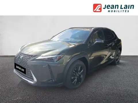 Annonce LEXUS UX Essence 2024 d'occasion 