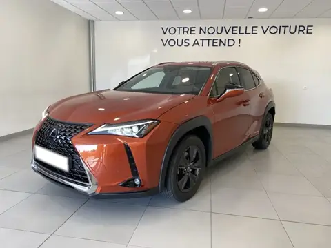 Annonce LEXUS UX Essence 2020 d'occasion 