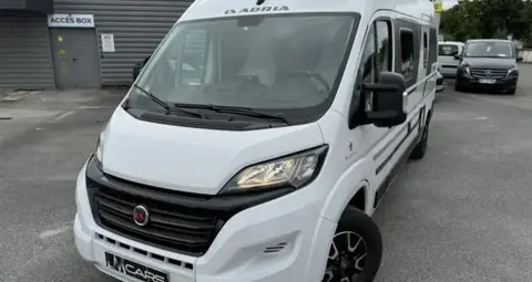 Used FIAT DUCATO Diesel 2021 Ad 