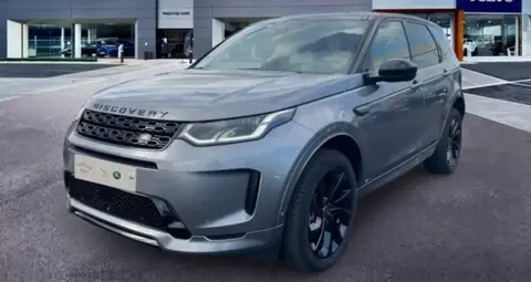 Annonce LAND ROVER DISCOVERY  2021 d'occasion 