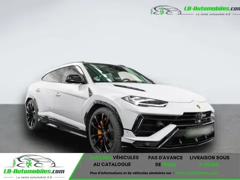 Used LAMBORGHINI URUS Petrol 2024 Ad 