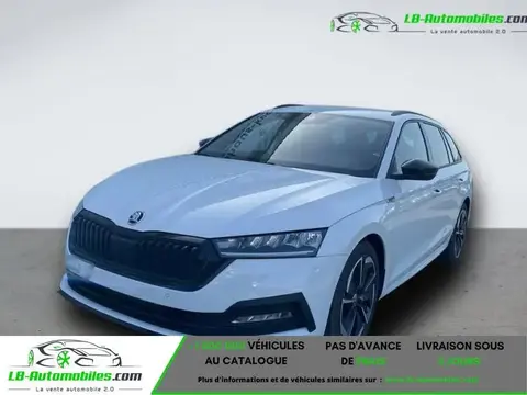 Annonce SKODA OCTAVIA Essence 2024 d'occasion 