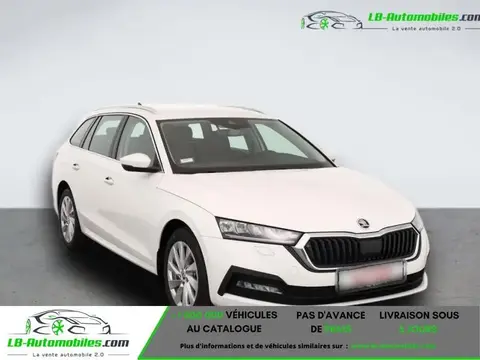 Annonce SKODA OCTAVIA Hybride 2024 d'occasion 