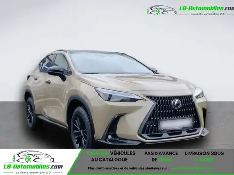 Annonce LEXUS NX Hybride 2024 d'occasion 