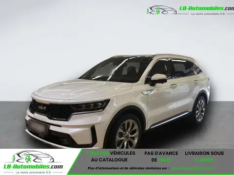 Annonce KIA SORENTO Diesel 2023 d'occasion 