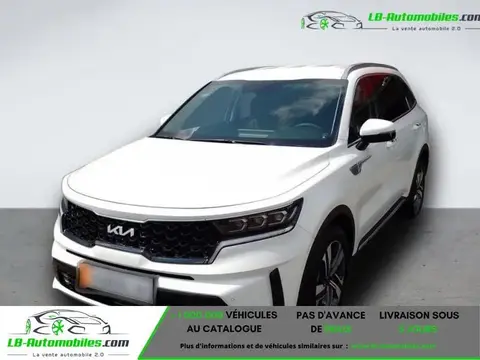 Annonce KIA SORENTO Diesel 2023 d'occasion 