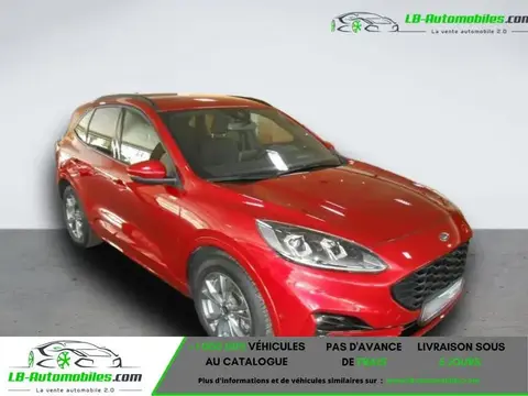 Annonce FORD KUGA Hybride 2020 d'occasion 