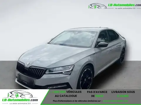 Used SKODA SUPERB Diesel 2023 Ad 